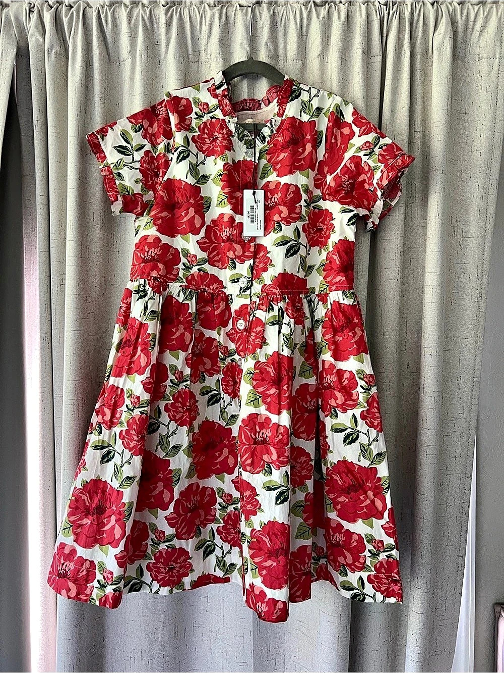 Pink Chicken Girls Autumn Dress 10Y Red Peonies Floral NWT